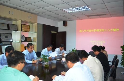 鸿运国际集团党总支组织学习十八大精神