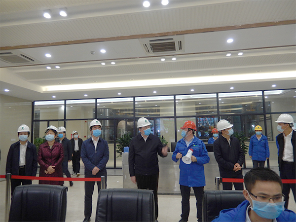 广西壮族自治区人大常委会副主任张秀隆视察鸿运国际博白项目
